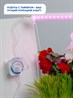 Розетка с таймером Feron TM31 суточная мощность 3500W/16A IP44 - фото 51296