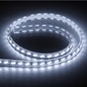 Cветодиодная LED лента Feron LS705, 120SMD(5730)/м 11Вт/м  50м IP65 220V 6500K - фото 55810