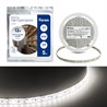 Cветодиодная LED лента Feron LS612, 120SMD(2835)/м 9.6Вт/м  5м IP20 12V 4000К - фото 60322