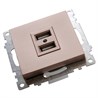 Розетка USB 2-местная (механизм), STEKKER GLS10-7115-02, 250B, 2,1A, серия Катрин, шампань - фото 63363