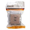 Розетка USB 2-местная (механизм), STEKKER GLS10-7115-02, 250B, 2,1A, серия Катрин, шампань - фото 63364