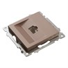 Розетка компьютерная 1-местная RJ-45 (механизм), STEKKER GLS00-7107-02, серия Катрин, шампань - фото 63463