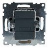 Выключатель 2-клавишный c индикатором (механизм), STEKKER GLS10-7102-05, 250В, 10А, серия Катрин, черный - фото 63480