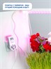 Розетка с таймером Feron TM61 обратного отсчета электронная мощность 2300W/10A - фото 64457