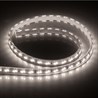 Cветодиодная LED лента Feron LS705, 120SMD(5730)/м 11Вт/м  50м IP65 220V 4000K - фото 66163