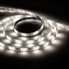 Cветодиодная LED лента Feron LS607, 60SMD(5050)/м 14.4Вт/м  5м IP65 12V 4000К - фото 67490