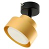 Светильник настенный HL3670 AURA 12W, 230V, GX53, золото - фото 68906
