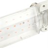 Лампа светодиодная 2-х лепестковая Feron LB-7000 E27 20W 175-265V красно-синий спектр - фото 69208