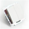 Переключатель 2-клавишный (механизм), STEKKER GLS10-7107-01 , 250V, 10А, серия Катрин, белый - фото 70424