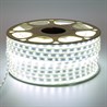 SST20 SAFFIT 60SMD(2835)/м 6Вт/м 220V 50м , 6500K, IP65 - фото 72808