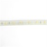 SST20 SAFFIT 60SMD(2835)/м 6Вт/м 220V 50м , 6500K, IP65 - фото 72811