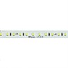 Лента светодиодая стабилизированная 120SMD(2835)/м 8Вт/м 48V 40000*10*1.22мм 6500К, IP20 LS420 FERON - фото 73950