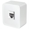 Розетка RJ-45 открытой установки, STEKKER, серия София, 1-местная, белый, MST00-20-01 - фото 74049