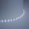 Cветодиодная LED лента Feron LS604, 60SMD(2835)/м 4.8Вт/м  1м IP65 12V 6500К - фото 75774