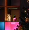 Световая фигура "Колба с Нитью Роса" 50LED 2700K, батарейки 3*АА, 23см, LT135 - фото 81297