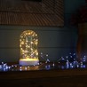 Световая фигура "Колба с Нитью Роса" 50LED 2700K, батарейки 3*АА, 23см, LT135 - фото 85909