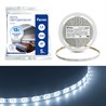 Cветодиодная LED лента Feron LS603, 60SMD(2835)/м 4.8Вт/м  5м IP20 12V 6500К - фото 88627