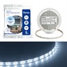 Cветодиодная LED лента Feron LS604, 60SMD(2835)/м 4.8Вт/м  5м IP65 12V 6500К - фото 88639
