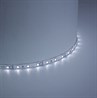 Cветодиодная LED лента Feron LS604, 60SMD(2835)/м 4.8Вт/м  1м IP65 12V 6500К - фото 88656