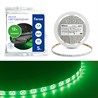 Cветодиодная LED лента Feron LS603, 60SMD(2835)/м 4.8Вт/м  5м IP20 12V зеленый - фото 88664