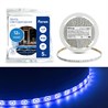 Cветодиодная LED лента Feron LS603, 60SMD(2835)/м 4.8Вт/м  5м IP20 12V синий - фото 88675