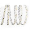 Светодиодная LED лента Feron LS502, 180SMD(2835)/м 16Вт/м 24V 5000*10*1.22мм 3000К - фото 88757