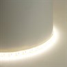 Светодиодная LED лента Feron LS626, 180SMD(2835)/m 17W/m 12V 5000*10*1.22мм 4000К IP65 - фото 91800