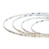 Светодиодная LED лента Feron LS511, 120SMD(2835)/м 11Вт/м 24V 5000*8*1.22мм 3000К IP65 - фото 92725