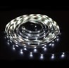 Cветодиодная LED лента Feron LS612, 120SMD(2835)/м 9.6Вт/м  5м IP20 12V 6500К - фото 93605