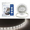 Cветодиодная LED лента Feron LS606, 60SMD(5050)/м 14.4Вт/м  5м IP20 12V 4000К - фото 93747