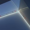 Светодиодная лента Feron LS520 стабилизированная, 120SMD(2835)/м 9.6Вт/м 24V 20000*10*1.22мм 6000К - фото 94583