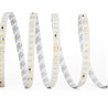 Светодиодная лента Feron LS520 стабилизированная, 120SMD(2835)/м 9.6Вт/м 24V 20000*10*1.22мм 6000К - фото 94586