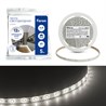 Cветодиодная LED лента Feron LS604, 60SMD(2835)/м 4.8Вт/м  5м IP65 12V 4000К - фото 94696