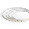 Лента светодиодая стабилизированная 120SMD(2835)/м 8Вт/м 48V 40000*10*1.22мм 3000К, IP20 LS420 FERON - фото 97079