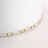 Лента светодиодная 192SMD(2835)/м 16Вт/м 24V 5000*8*1.44мм 3000К+6500K, IP20, LS504 - фото 97157