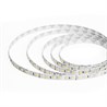 Светодиодная LED лента Feron LS501, 120SMD(2835)/м 11Вт/м 24V 5000*8*1.22мм 6000К - фото 97688