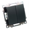 Переключатель 2-клавишный (механизм), STEKKER GLS10-7107-05, 250V, 10А, серия Катрин, черный - фото 98251