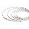 Светодиодная LED лента Feron LS501, 120SMD(2835)/м 11Вт/м 24V 30000*8*1.22мм 6000К 30м IP20 - фото 103807