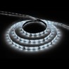 Cветодиодная LED лента Feron LS604, 60SMD(2835)/м 4.8Вт/м  5м IP65 12V 6500К - фото 50605