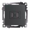 Розетка 2-местная USB (механизм), 250В, 2,1А, серия Катрин, графит, GLS10-7115-06 - фото 74566