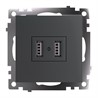 Розетка 2-местная USB (механизм), 250В, 2,1А, серия Катрин, графит, GLS10-7115-06 - фото 76910