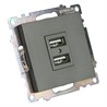 Розетка 2-местная USB (механизм), 250В, 2,1А, серия Катрин, графит, GLS10-7115-06 - фото 76912
